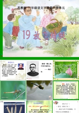课件《19放飞蜻蜓》
