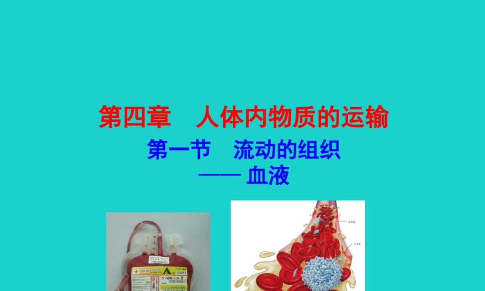 七年级生物下册 4.4.1 流动的组织 血液课件 七年级生物下册 4.4.1 流动的组织 血液课件+素材(新版)新人教版