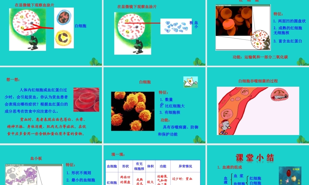 七年级生物下册 4.4.1 流动的组织 血液课件 七年级生物下册 4.4.1 流动的组织 血液课件+素材(新版)新人教版