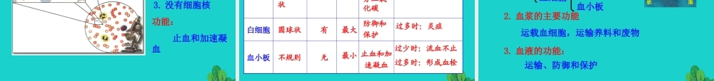 七年级生物下册 4.4.1 流动的组织 血液课件 七年级生物下册 4.4.1 流动的组织 血液课件+素材(新版)新人教版