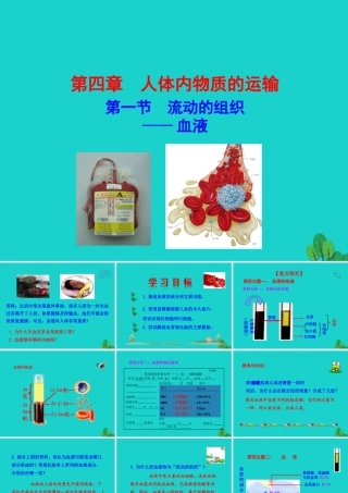 七年级生物下册 4.4.1 流动的组织 血液课件 七年级生物下册 4.4.1 流动的组织 血液课件+素材(新版)新人教版