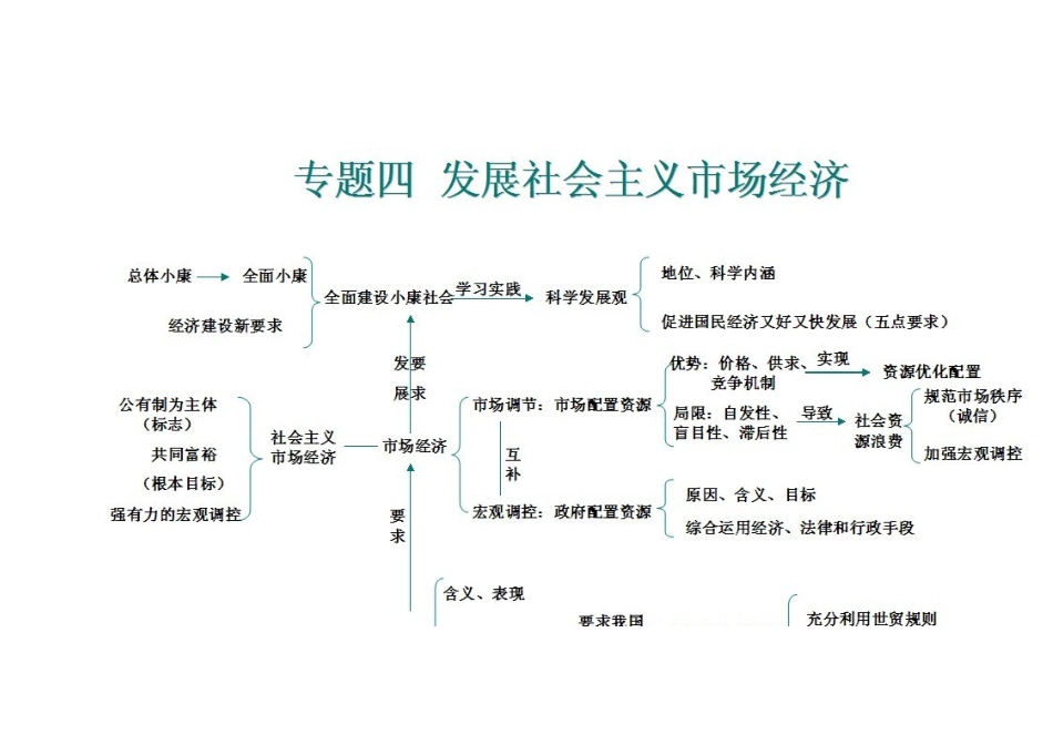 发展社会主义市场经济2_第1页