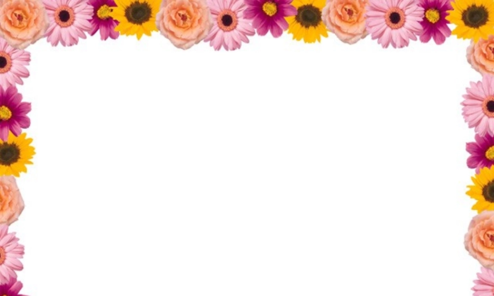 我最喜欢的PPT模板