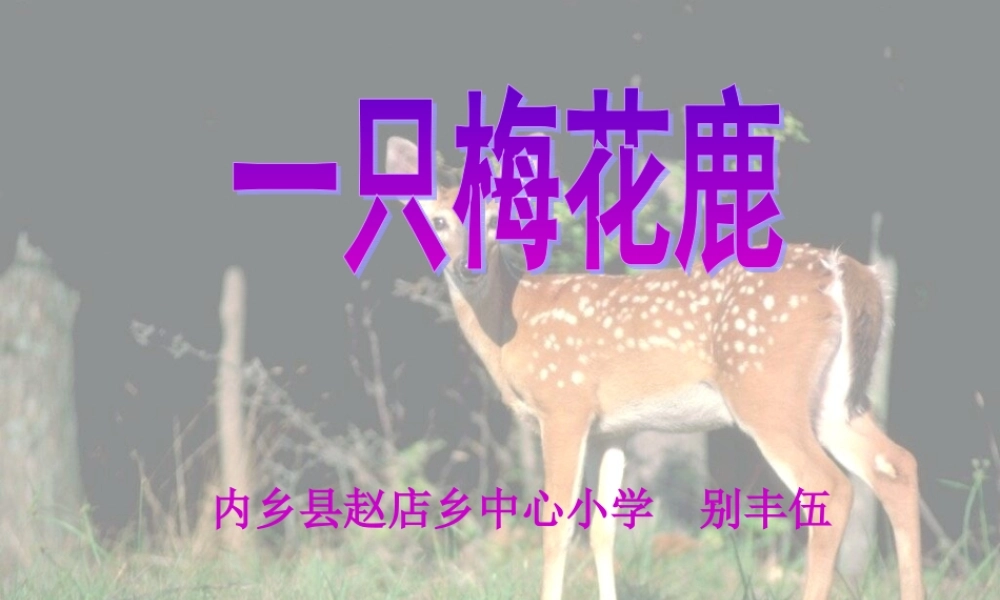 28一只梅花鹿-(2)