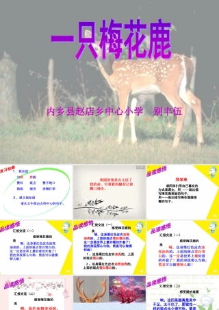 28一只梅花鹿-(2)