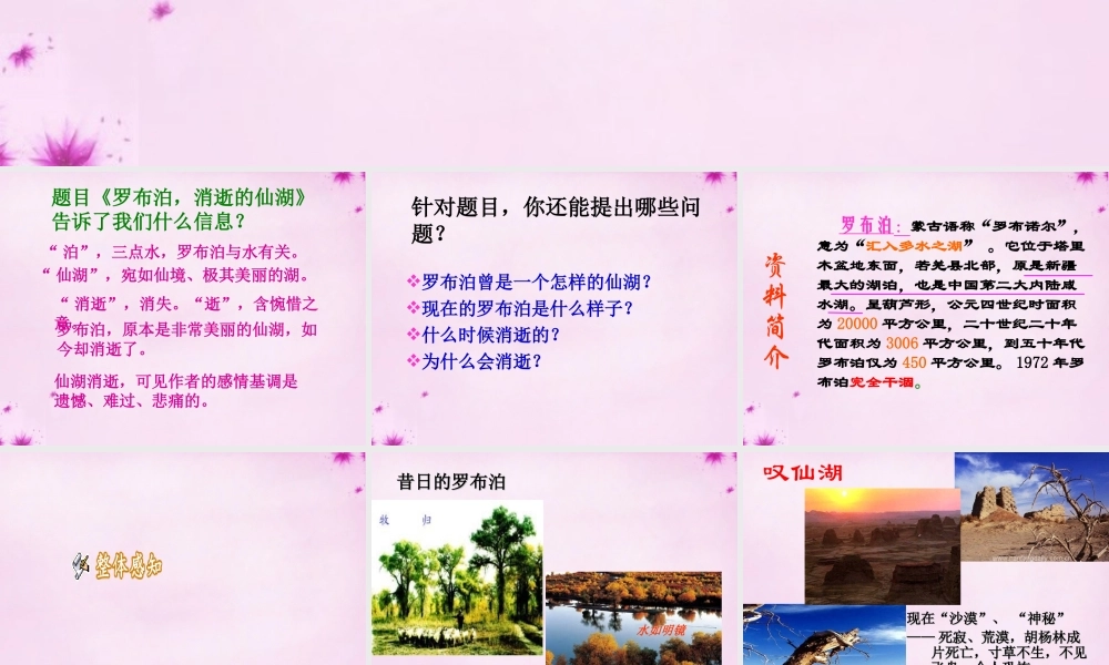 八年级语文下册 第三单元 第12课 罗布泊，消逝的仙湖课件 新人教版 课件