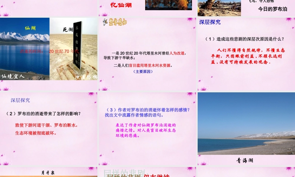 八年级语文下册 第三单元 第12课 罗布泊，消逝的仙湖课件 新人教版 课件