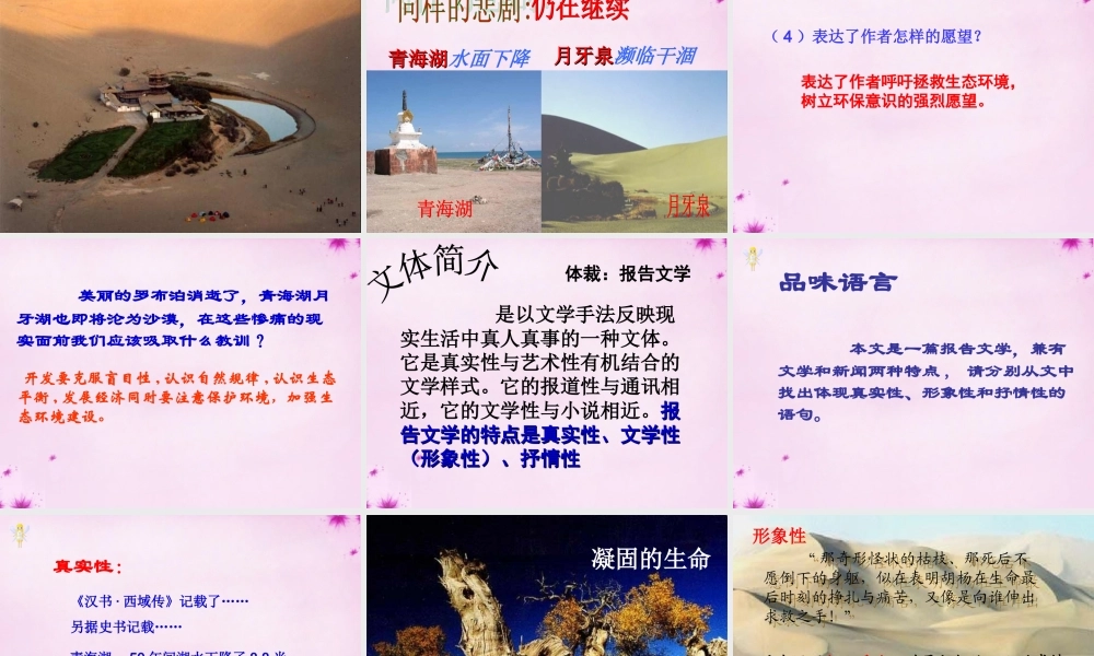 八年级语文下册 第三单元 第12课 罗布泊，消逝的仙湖课件 新人教版 课件
