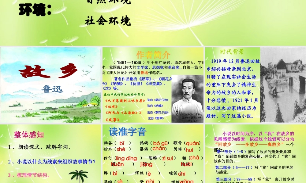 九年级语文下册(第13课 故乡)课件 语文版 课件