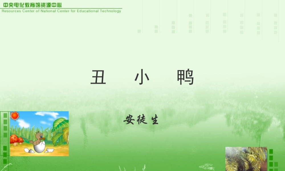 成都地区语文七年级丑小鸭课件人教版 课件