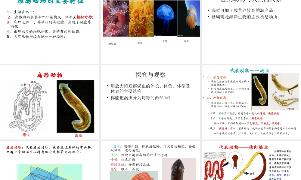 初中二年级生物上册第五单元　第一章动物的主要类群第一课时课件