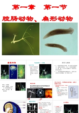 初中二年级生物上册第五单元　第一章动物的主要类群第一课时课件