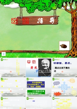 八年级语文上册 第2单元第6课(枣核)课件 苏教版 课件