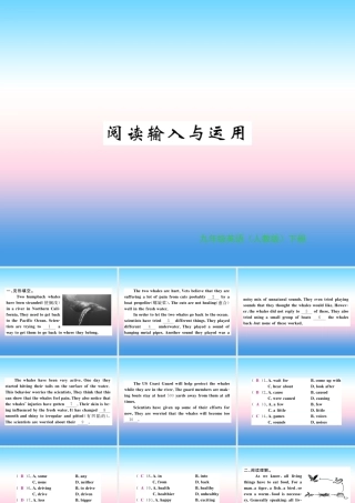 九年级英语全册 Unit 13 We re trying to save the earth阅读输入与运用习题课件 (新版)人教新目标版 课件