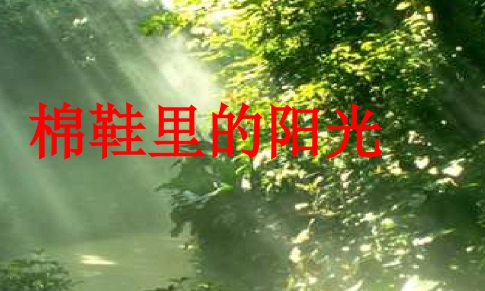 《棉鞋里的阳光》公开课ppt课件(14页)