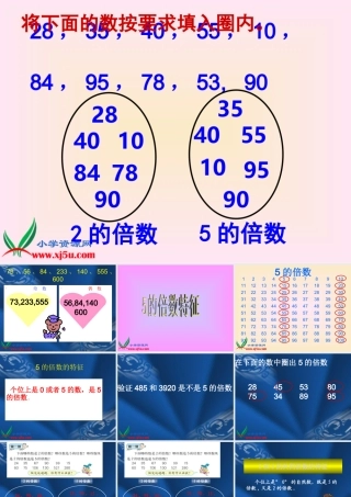 《2、5的倍数特征》课件