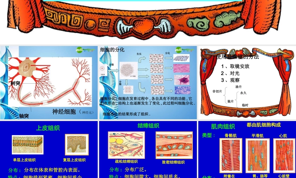 八年级生物 第一学期(试验本)本册综合生命科学第一到第三章复习课件 上海版 课件