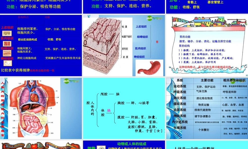 八年级生物 第一学期(试验本)本册综合生命科学第一到第三章复习课件 上海版 课件