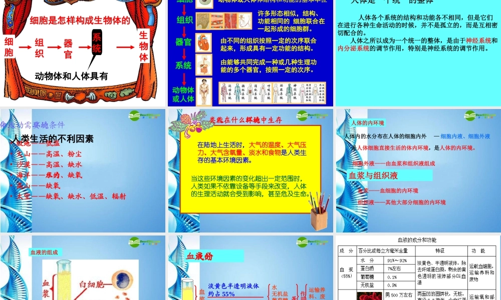 八年级生物 第一学期(试验本)本册综合生命科学第一到第三章复习课件 上海版 课件