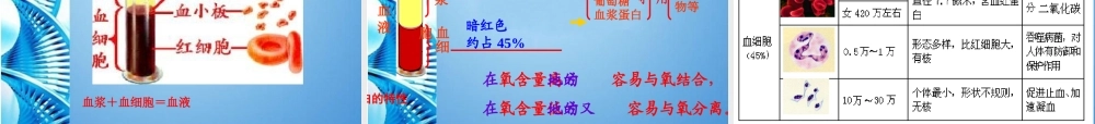 八年级生物 第一学期(试验本)本册综合生命科学第一到第三章复习课件 上海版 课件