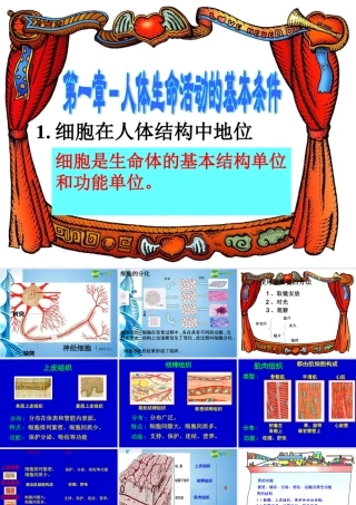 八年级生物 第一学期(试验本)本册综合生命科学第一到第三章复习课件 上海版 课件