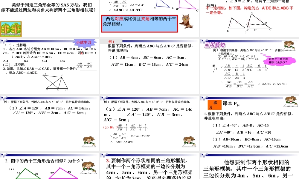 27.2.1相似三角形的判定-(4)