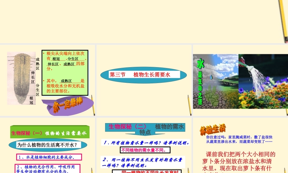 七年级生物上册(植物生长需要水和无机盐)课件 苏教版 课件