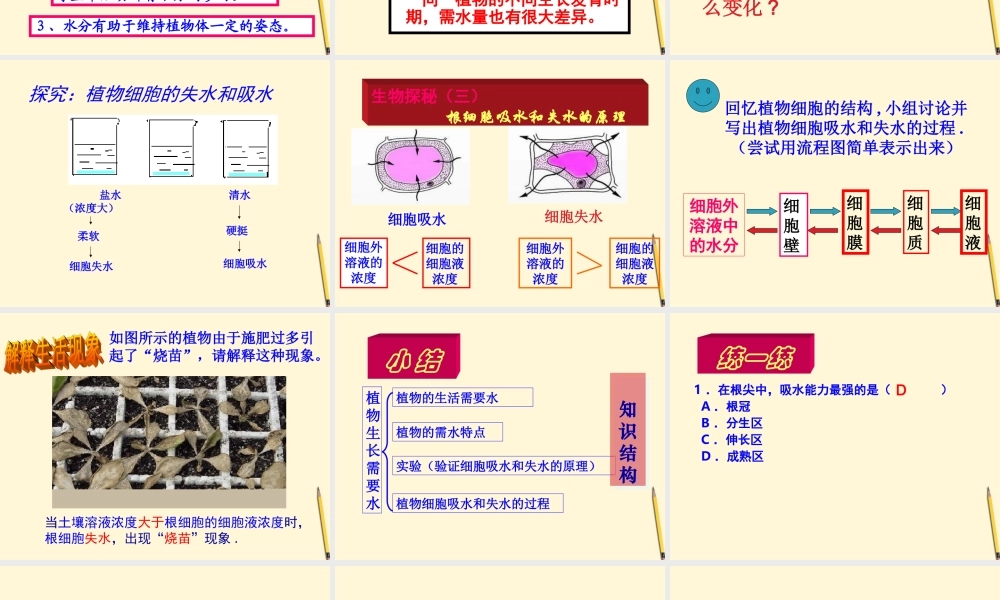 七年级生物上册(植物生长需要水和无机盐)课件 苏教版 课件