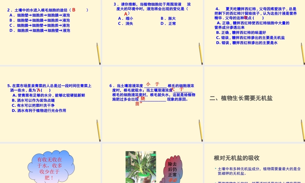 七年级生物上册(植物生长需要水和无机盐)课件 苏教版 课件