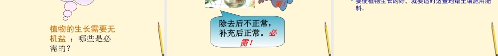 七年级生物上册(植物生长需要水和无机盐)课件 苏教版 课件