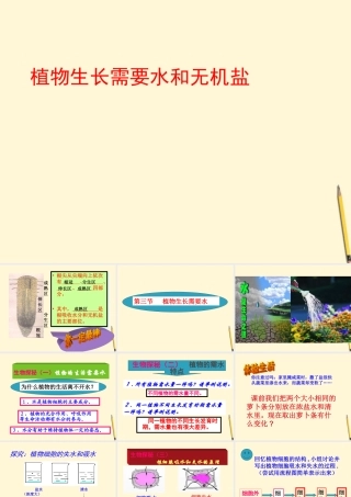 七年级生物上册(植物生长需要水和无机盐)课件 苏教版 课件