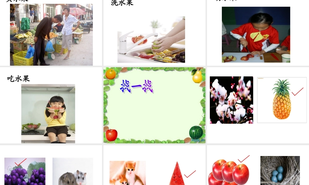 培智语文识字教学：水果