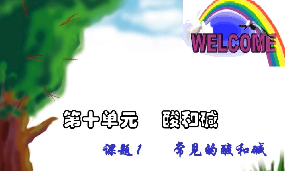 初三化学常见的酸和碱课件示例一 课件