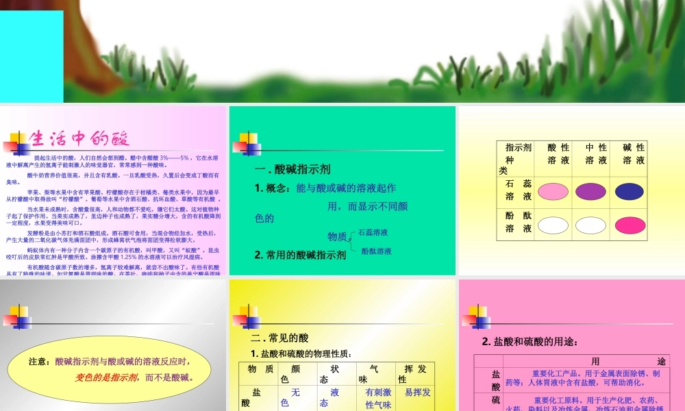 初三化学常见的酸和碱课件示例一 课件