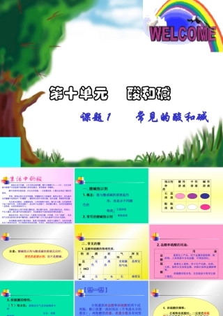 初三化学常见的酸和碱课件示例一 课件