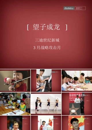 三迪世纪新城3月整合推广策划战略攻击月