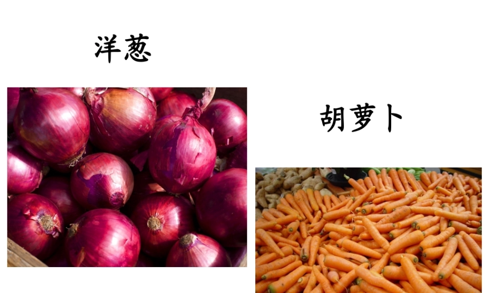 《植物之间的“爱”和“恨”》之好朋友