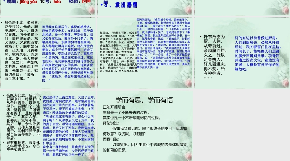 山东省沂水一中高二语文(项脊轩志(1))课件 新人教版 课件