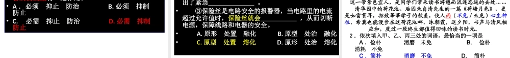 北京市高考语文一轮复习 基础知识课件