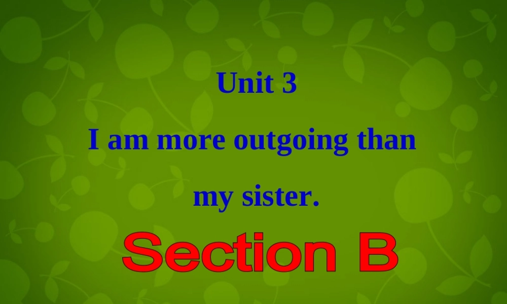 八年级英语上册 Unit 3 I am more outgoing than my sister Section B课件 (新版)人教新目标版 课件