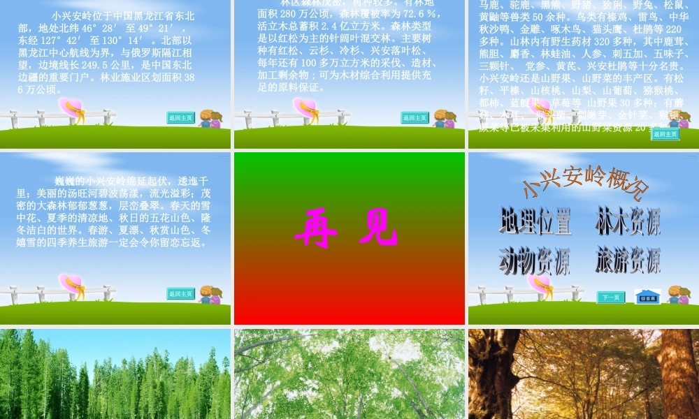 美丽的小兴安岭成品