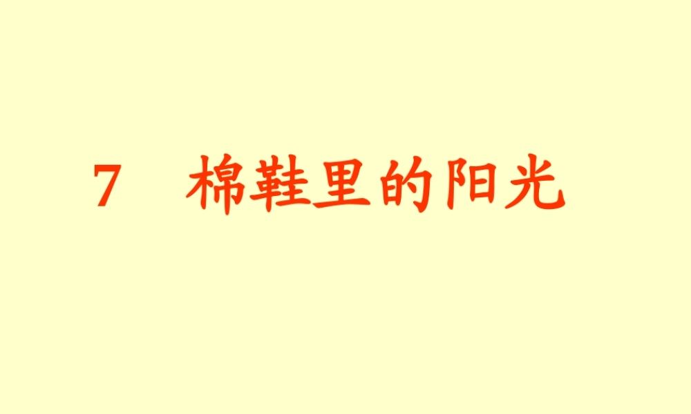棉鞋里的阳光课件 