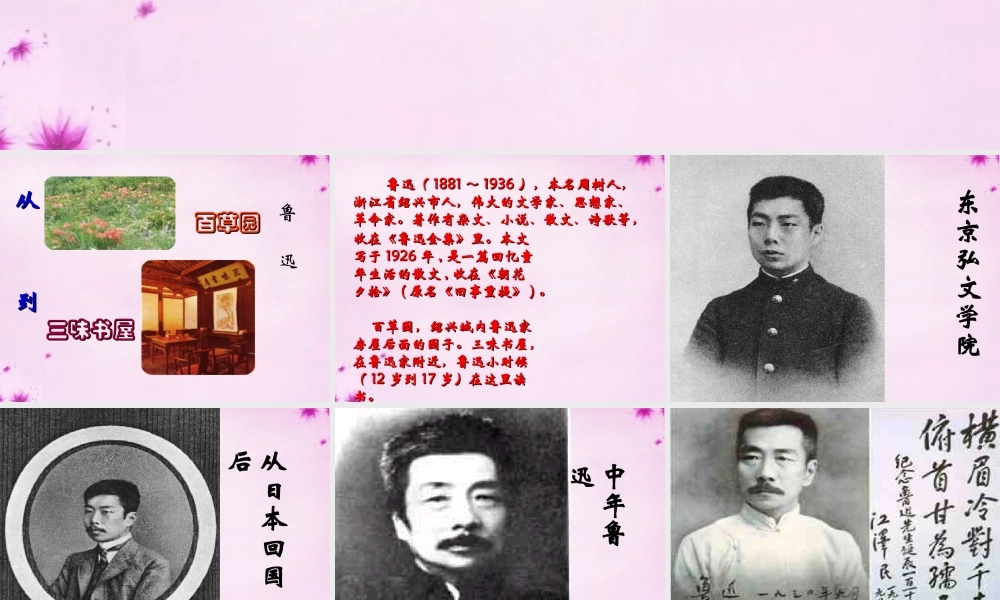 中学七年级语文下册 第1课(从百草园到三味书屋)课件1 (新版)新人教版 课件