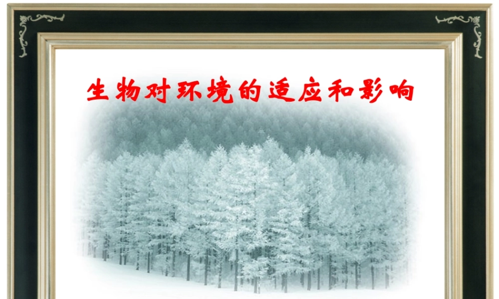 七年级生物生物对环境的适应和影响课件 鲁教版 课件
