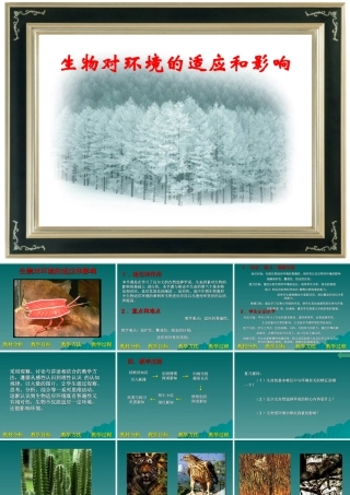 七年级生物生物对环境的适应和影响课件 鲁教版 课件