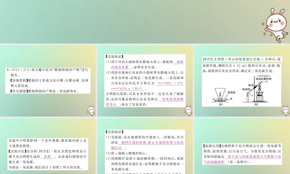 中考化学复习 题型复习(四)实验探究题 题型之三 其他探究课件