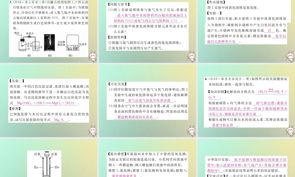 中考化学复习 题型复习(四)实验探究题 题型之三 其他探究课件