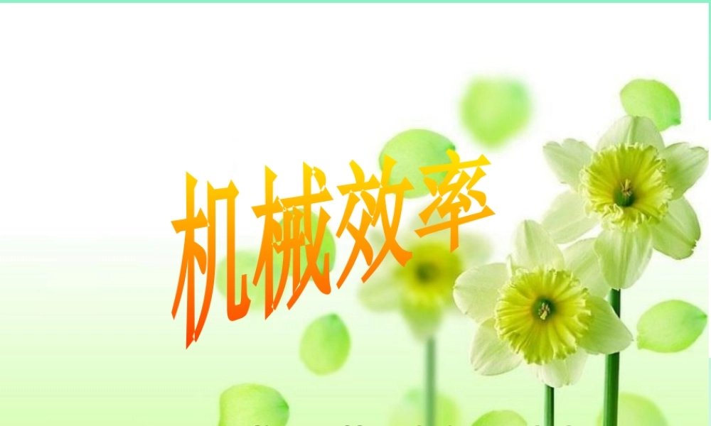 二、机械效率-(2)