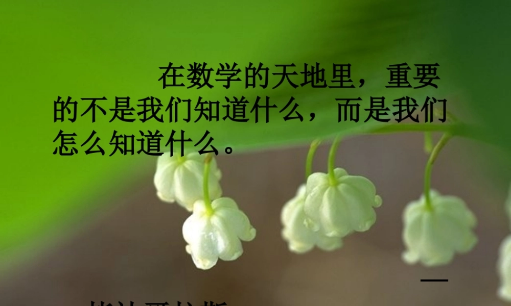 八年级数学下册 19.1.1平行四边形的性质1 课件 人教新课标版 课件