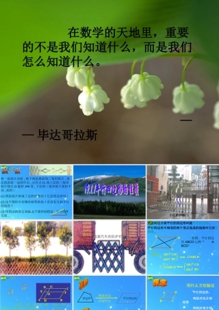 八年级数学下册 19.1.1平行四边形的性质1 课件 人教新课标版 课件
